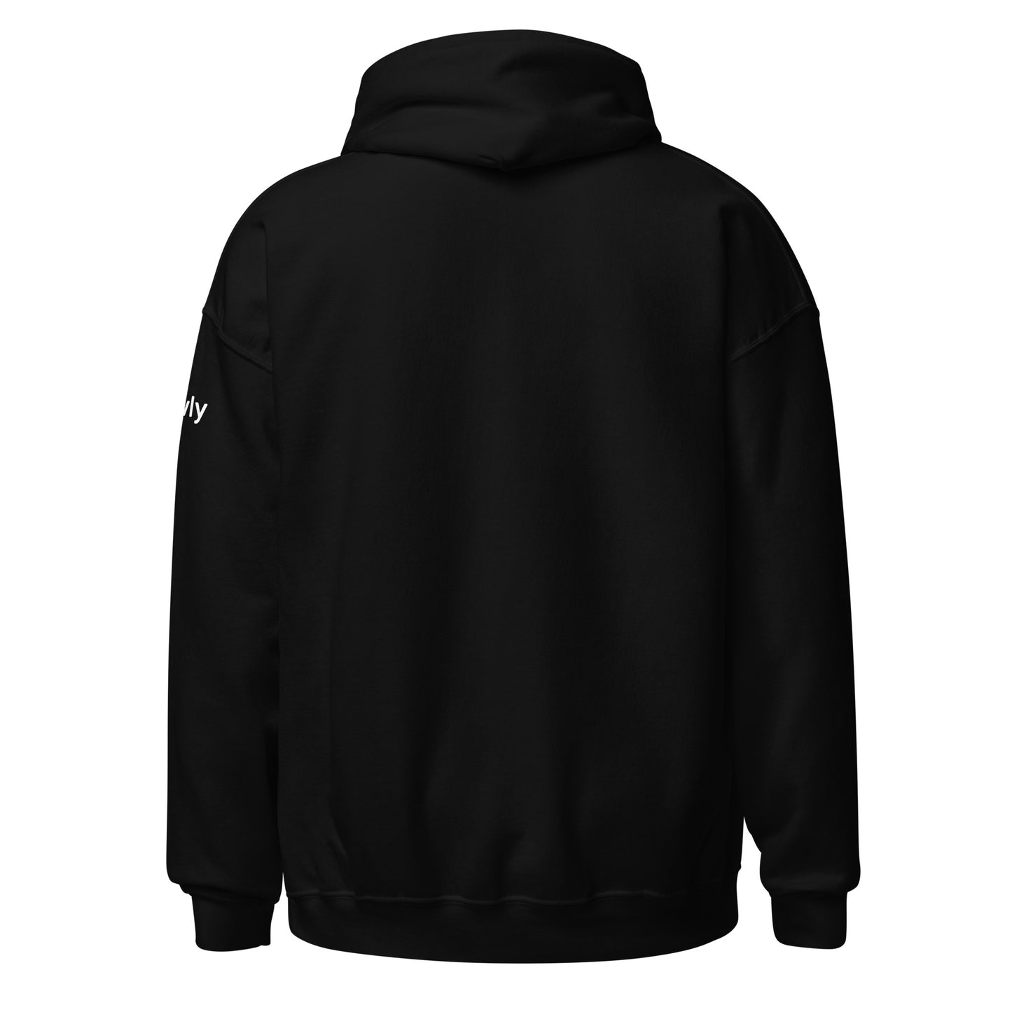 New Horizons Hoodie Unisex