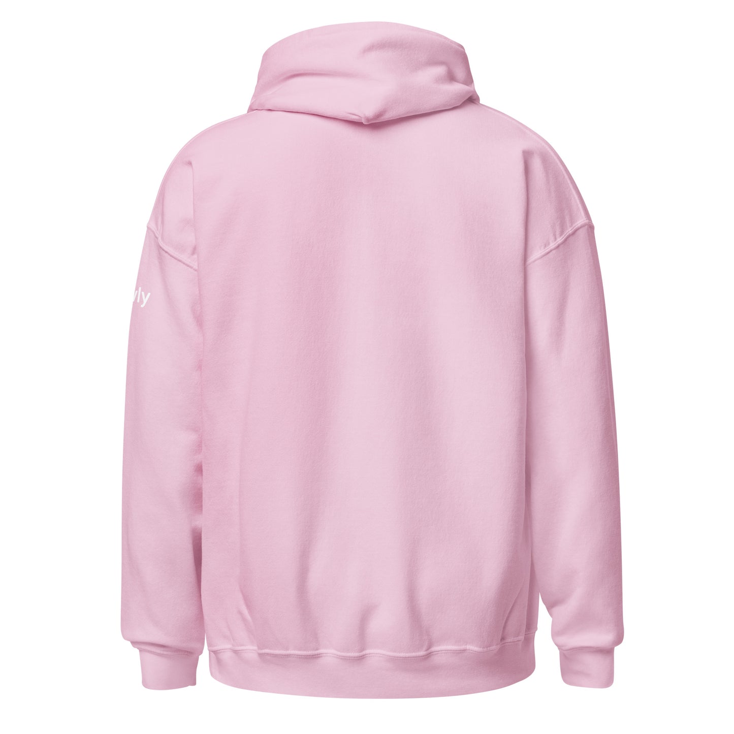New Horizons Hoodie Unisex